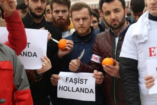 hollanda, protesto, portakal