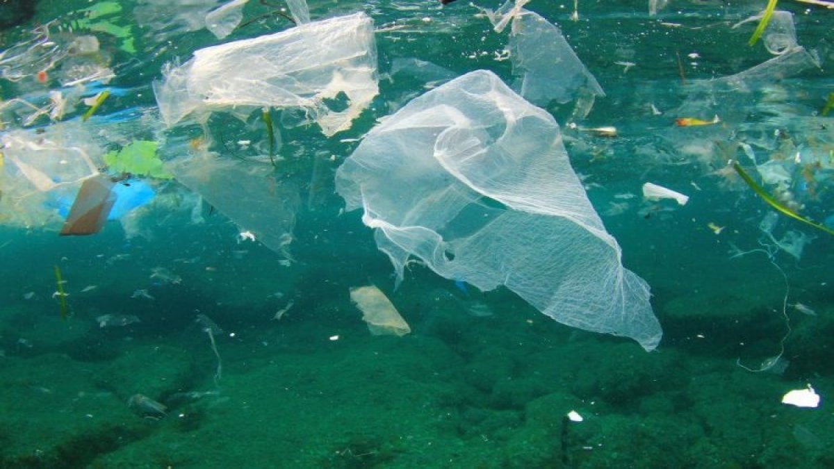 2050 yılında denizlerde balıklardan çok mikroplastik olacak"