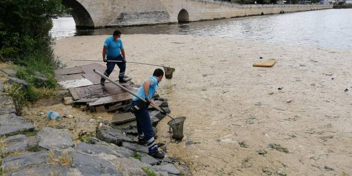 Marmara Denizi'ni saran deniz salyası Küçükçekmece Gölü'ne ulaştı
