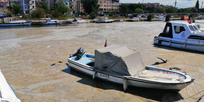 Çanakkale Boğazı'ndan sonra Sarıçay'ı da deniz salyası kaplandı