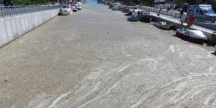 Beton dökülmüş gibi Kurbağalıdere'yi kaplayan deniz salyası, Marmara'nın dibinden görüntülendi!