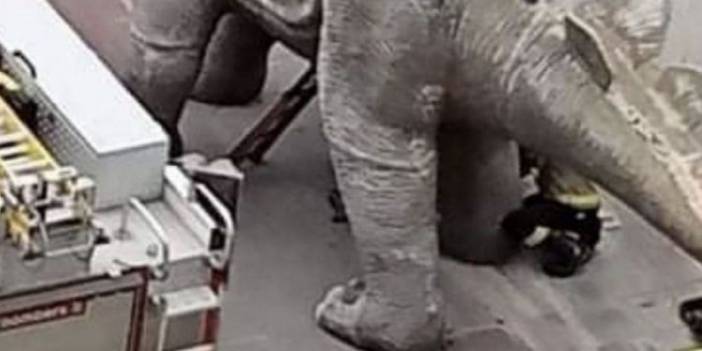 Kayıp adamın cesedi dinozor heykelinin içinden çıktı