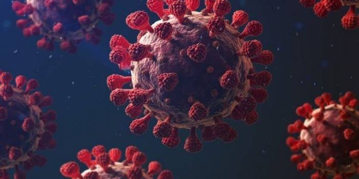 İngiliz varyantı Fransa'da mutasyon geçirdi