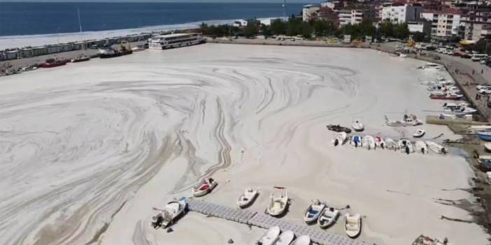 Yat marinası deniz salyasına teslim oldu