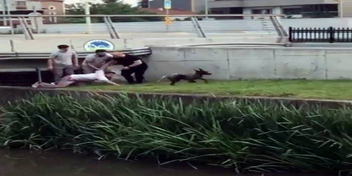 Kanala düşen köpek için seferber oldular