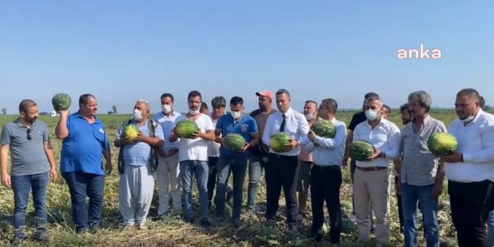 CHP'li Başarır karpuz tarlasından seslendi: Sen Demirören'i düşünme, çiftçiyi düşün