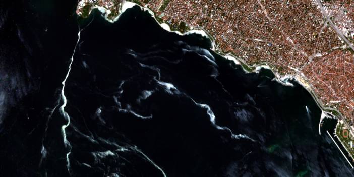 Müsilaj uzaydan görüntülendi