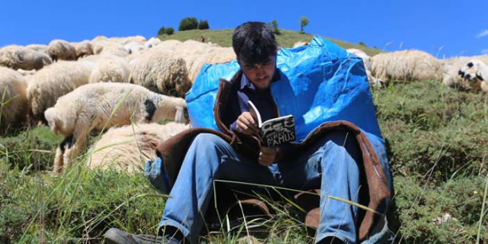 Hollanda Büyükelçiliği, Mahir için devrede