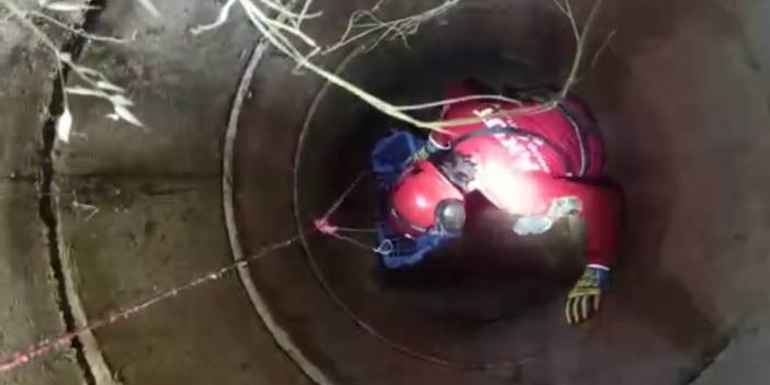 Kuyuya düşen kedi ve yavrusu AKUT ekipleri tarafından kurtarıldı.