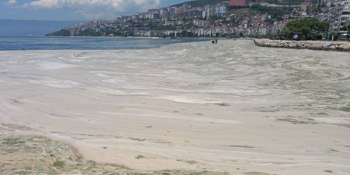 Doğa hem denizden hem havadan cezalandırıyor... Lodos, müsilajı Gemlik'e taşıdı....