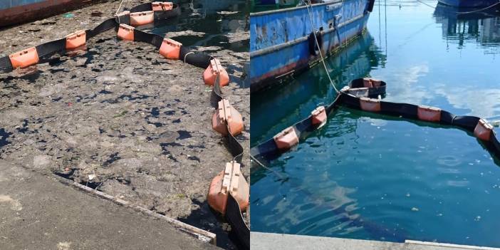 Deniz bakterileri müsilajı temizledi