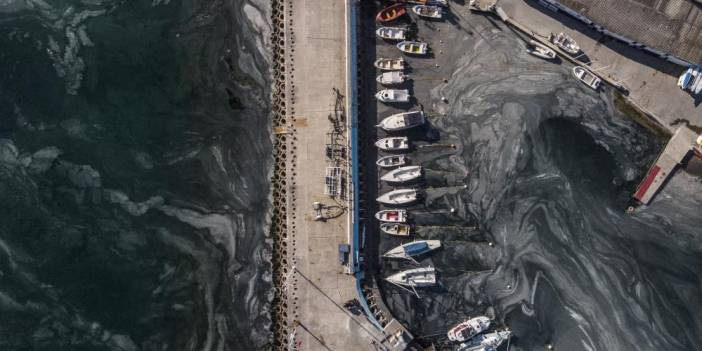 İstanbul'da müsilaj istilasının son hali görüntülendi