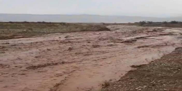 Nallıhan'da dereler taştı, tarım arazileri sele teslim oldu
