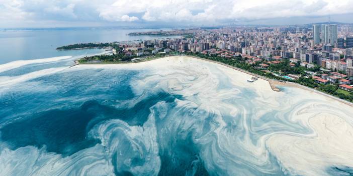 Caddebostan Sahili'nde müsilaj yoğunluğu arttı