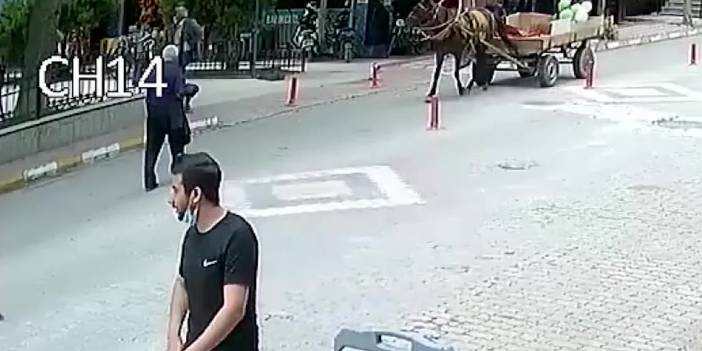 84 yaşında adam at arabasının altında kaldı