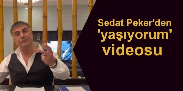 Sedat Peker yeni video yayınladı!