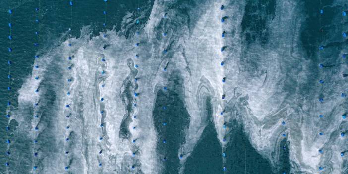 Çanakkale Boğazı'nda müsilaj yoğunluğu sürüyor