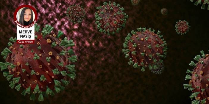 Prof. Dr. Tayyar Şaşmaz: Delta'yı yüzde 70 aşılama durdurabilir