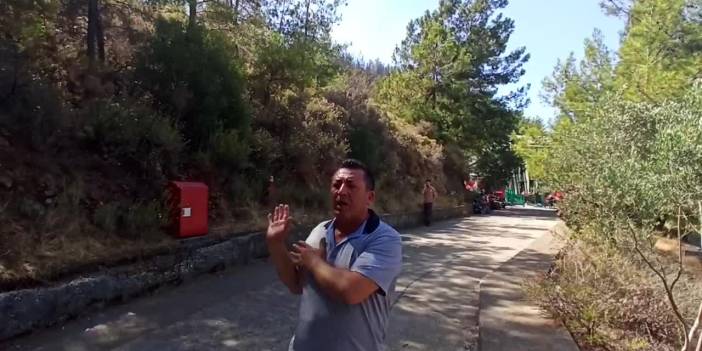 CHP Milletvekili Mürsel Alban, Bakan Pakdemirli'ye sordu: Neden yangına müdahalede söndürme uçağı yok