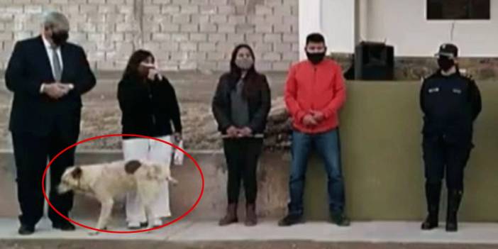 Belediye başkanı konuşma yaparken üzerine köpek işedi