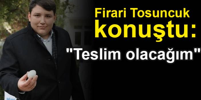 Firari Tosuncuk konuştu: "Teslim olacağım"