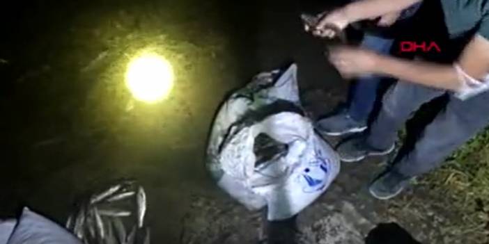 Kaçak avlanan 250 kilo inci kefali ele geçirildi