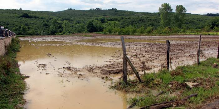 Sakarya'da sel sonrası evlerdeki çamurlar temizleniyor