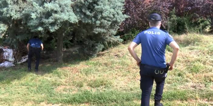 Pendik'te 17 köpek ölü bulundu; işkence yapılıp zehirlenmiş