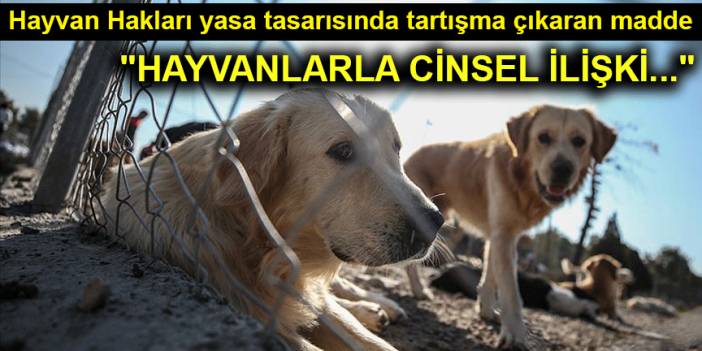 Hayvanları Koruma Kanunu’nun TBMM’de görüşmelerine başlandı