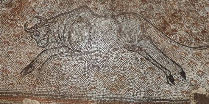 Gaziantep'te evin bahçesinde ortaya çıkan tarihi mozaikler müzeye taşınıyor