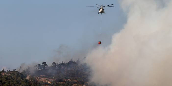 İzmir Foça'da orman yangını