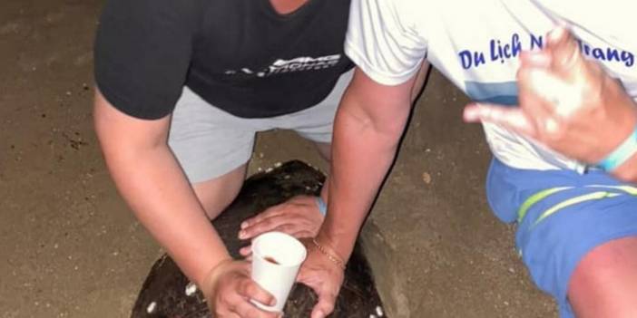 Caretta carettaya eziyet eden turistlere para cezası