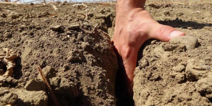 Kuraklık ve susuzluk Mardin'de çiftçinin belini büktü