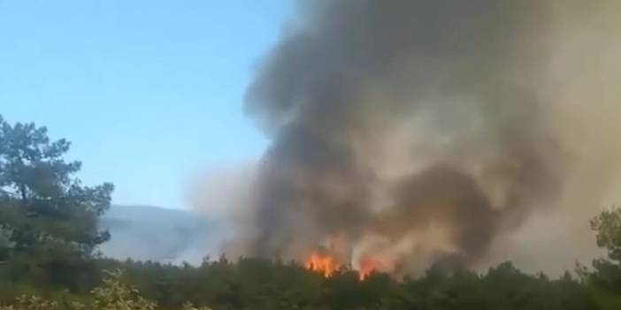 İzmir'de orman yangını