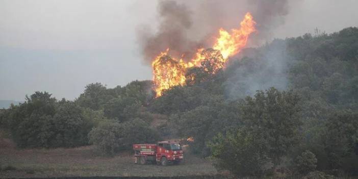 Manisa'daki orman yangınında 'sabotaj' şüphesi
