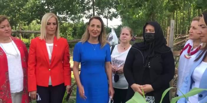 CHP'li Nazlıaka: Kimse halkımızı çimenlere basar gibi ezemez