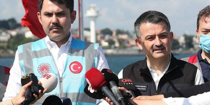 Bakanlardan flamingo ölümlerine ilişkin açıklama