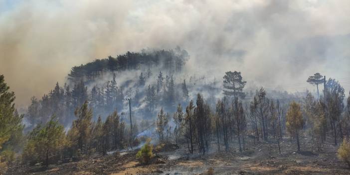 Mersin'de çıkan orman yangınına havadan ve karadan müdahale ediliyor