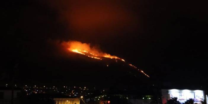 Antakya'daki orman yangını kontrol altına alındı