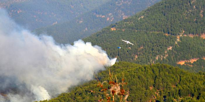 Mersin'deki orman yangınına müdahale yeniden başladı