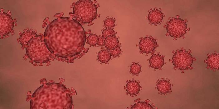 ‘Maymun Çiçeği Virüsü’ şimdi de ABD’de!