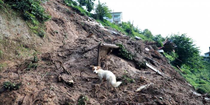 Rize'de selde bulunamayan Batuhan Delihasan'ın yeğeni isyan etti
