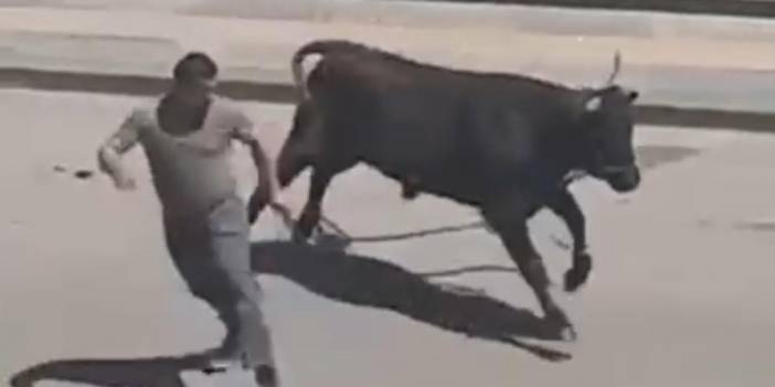 Sahibinden kaçan boğa, ortalığı birbirine kattı