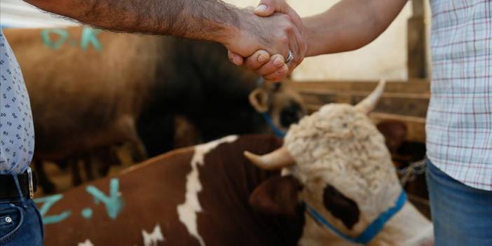 Kurban Bayramı’nı sağlıklı geçirmenin 10 yolu