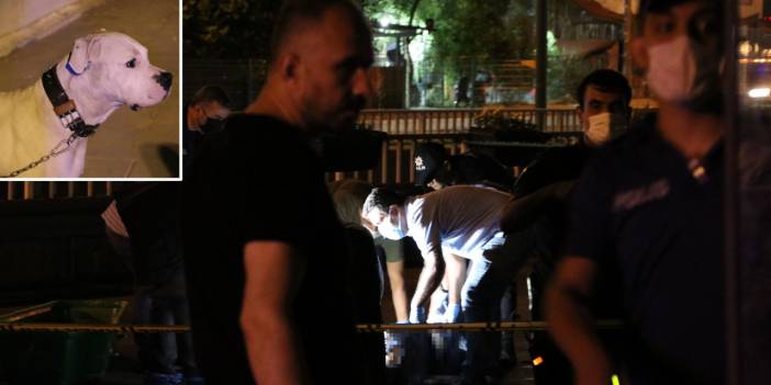 Köpeğini gezdirdiği sırada vurularak öldürüldü: Köpeği olay yerinden ayrılmadı