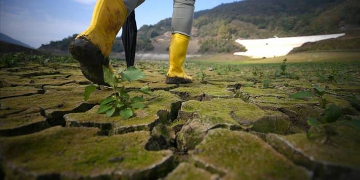İklim değişikliği uyarısı: Ortaya çıkan sonuçlar dramatik hale geliyor