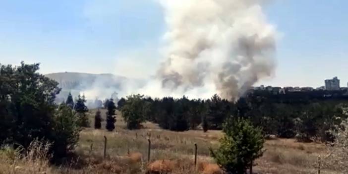 Atatürk Orman Çiftliği'ndeki yangın kontrol altına alındı