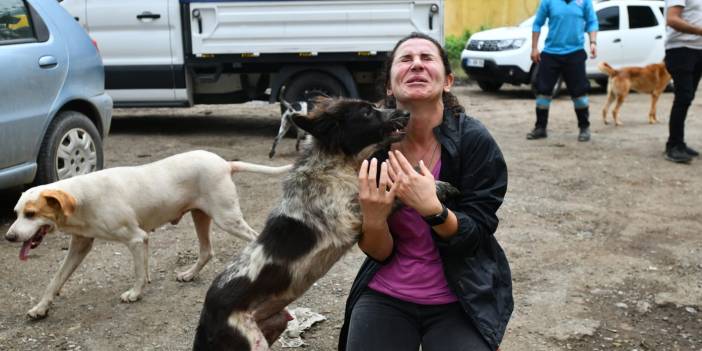 Artvin'deki sele kapılan köpekler kurtarılma anları kamerada