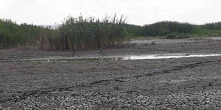 Eber Gölü pişmanlığı: Hiç bitmez, tükenmez sandık, o da canlıymış bilemedik