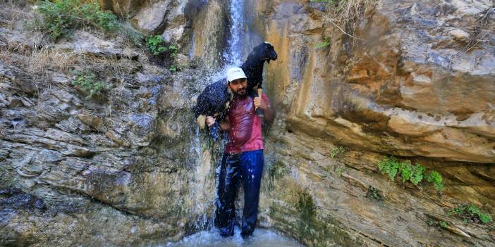 Sıcaktan bunalan küçükbaş hayvanların şelale keyfi